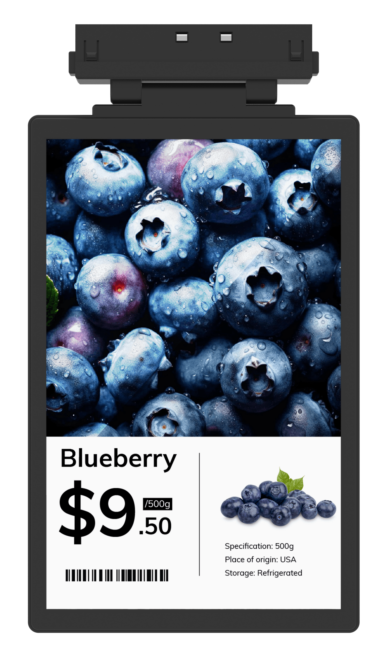 Sentra AI - Pricetag